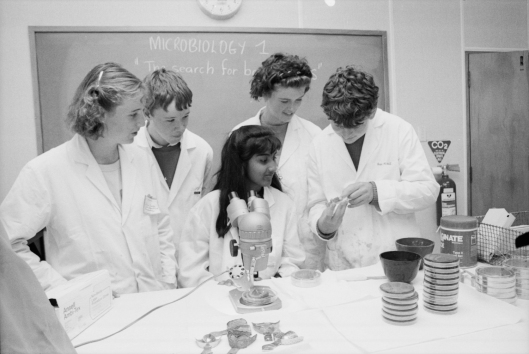 Looking at bacteria on an agar model of a set of teeth during the microbiology project at the first hands-on science camp in 1990. Image courtesy of the Hocken Collections, University of Otago Photographic Unit records, MS-4185/042, S15-500d.